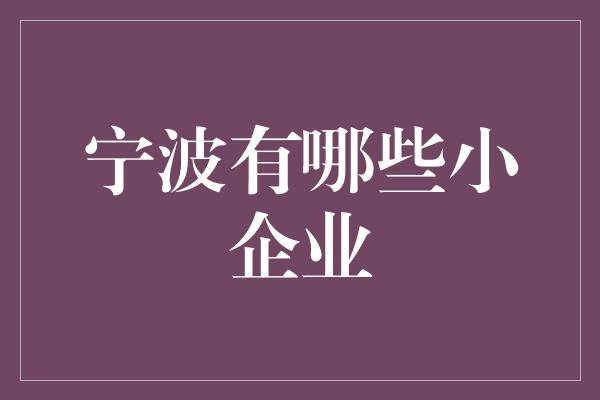 宁波有哪些小企业