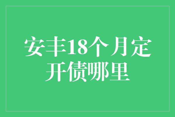 安丰18个月定开债哪里