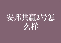 安邦共赢2号：保险产品的优势分析与投资策略