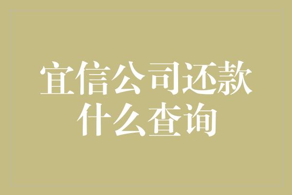 宜信公司还款什么查询