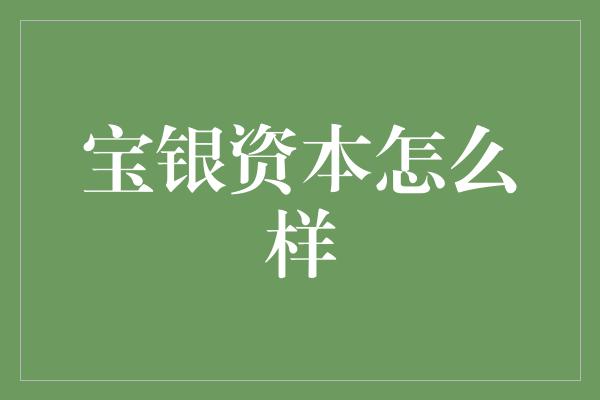 宝银资本怎么样