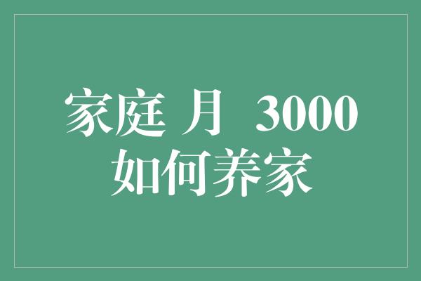 家庭 月  3000如何养家