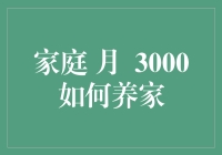 月入3000也能笑傲江湖？家庭理财秘籍大公开！