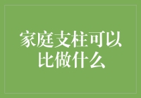 家庭支柱？难道我是房梁吗？