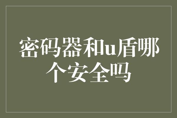 密码器和u盾哪个安全吗