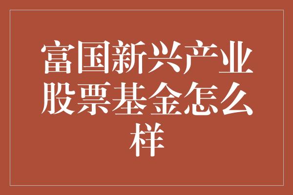 富国新兴产业股票基金怎么样