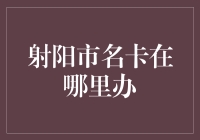 射阳市名卡办理流程指南：便捷生活，一卡在手