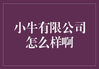 小牛有限公司：电动出行领域的革新者与领跑者