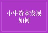 小牛资本的狂飙突进：从草根到金融大鳄的奇妙之旅