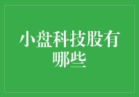 小盘科技股：那些微不足道却又可能改变世界的企业