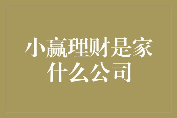 小赢理财是家什么公司