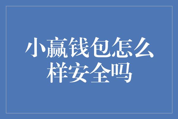 小赢钱包怎么样安全吗