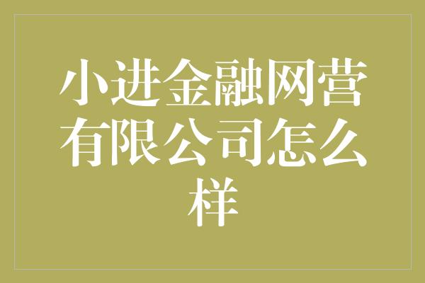 小进金融网营有限公司怎么样