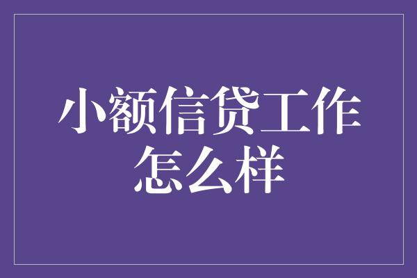 小额信贷工作怎么样