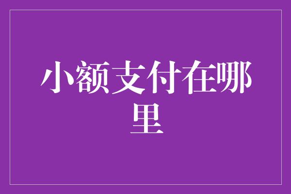 小额支付在哪里