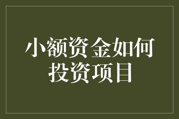 小额资金如何投资项目