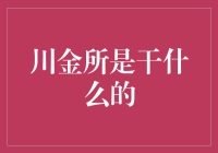 规避风险还是避风港，川金所是干什么的？