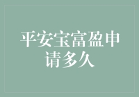 平安宝富盈申请审批流程解析：小额金融领域的便捷之道