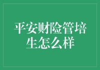 平安财险管培生项目：职场新人的精英培养计划