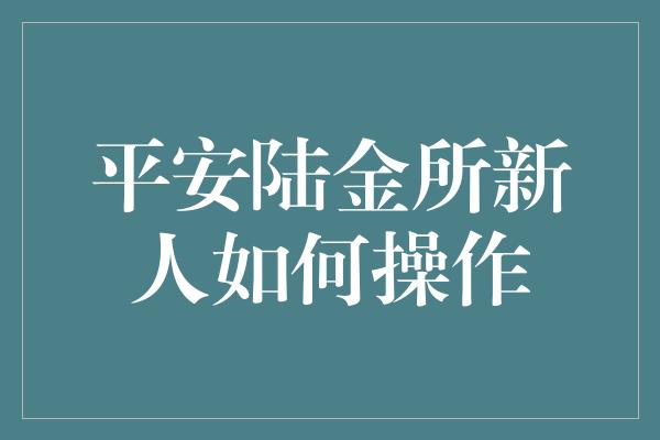 平安陆金所新人如何操作