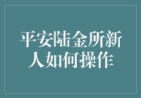 新手指南：平安陆金所操作全面解析