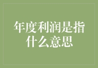 探索年度利润的深层含义与应用：企业与个体的双赢之道