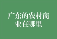 广东农村商业的崭新画卷：从传统到现代的转变