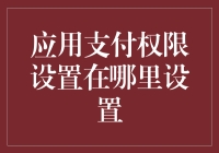 应用支付权限设置在哪里：解锁数字安全的正确方式