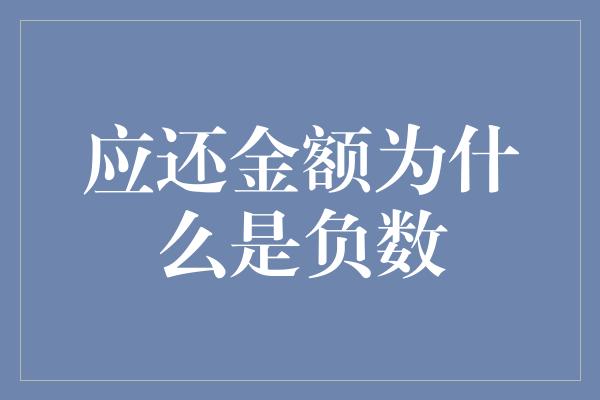 应还金额为什么是负数