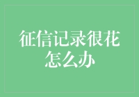 如何优雅地应对征信记录这朵花：一本正经的幽默指南