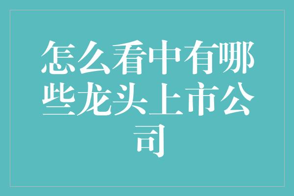 怎么看中有哪些龙头上市公司