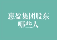 惠盈集团股东结构深度剖析：探寻中国企业发展的核心驱动力