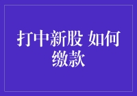 打中新股缴款指南：从菜鸟到老司机的跳跃