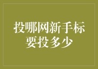 投哪网新手标如何明智选择：投资金额与风险控制策略