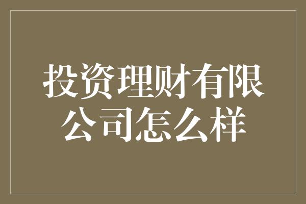 投资理财有限公司怎么样