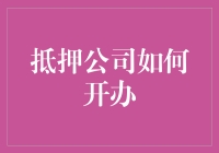 我的抵押公司开张记：从零到借钱大师的奇幻旅程