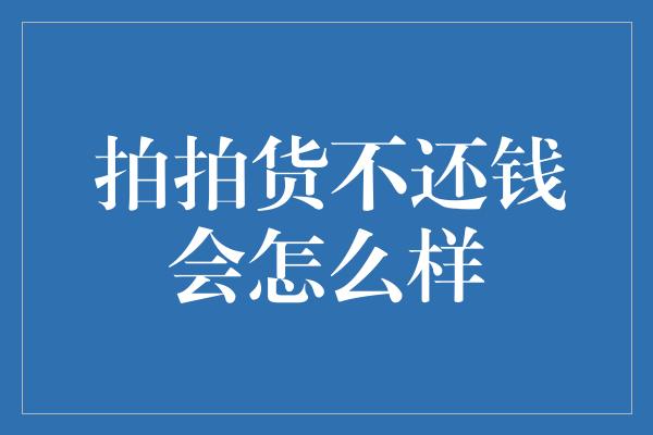 拍拍货不还钱会怎么样