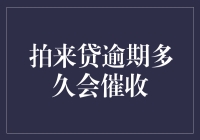 拍来贷逾期多久会催收：走错门的催收员与借钱大侦探