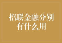 招联金融：引领消费金融新风尚