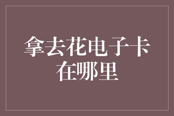 拿去花电子卡在哪里