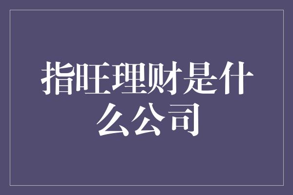 指旺理财是什么公司