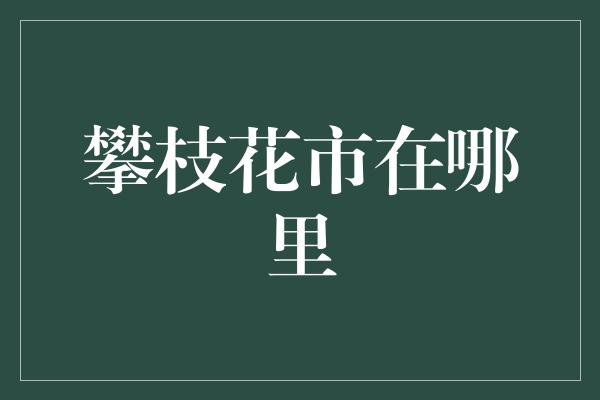 攀枝花市在哪里