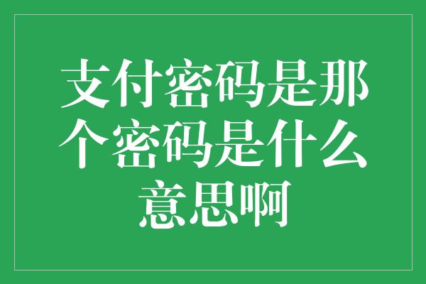 支付密码是那个密码是什么意思啊