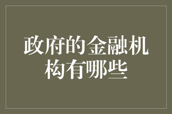 政府的金融机构有哪些