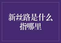 新丝路指代的是什么？它在哪里？