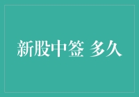 新股中签后多久可以卖出：策略与风险分析