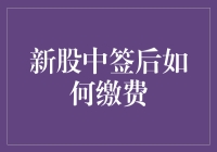 新股中签后如何缴费：一场与时间赛跑的赌场游戏