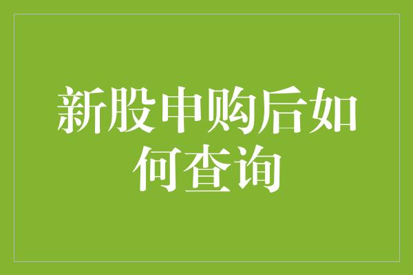 新股申购后如何查询