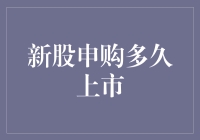 新股申购多久上市：探索股票市场中的时间迷雾