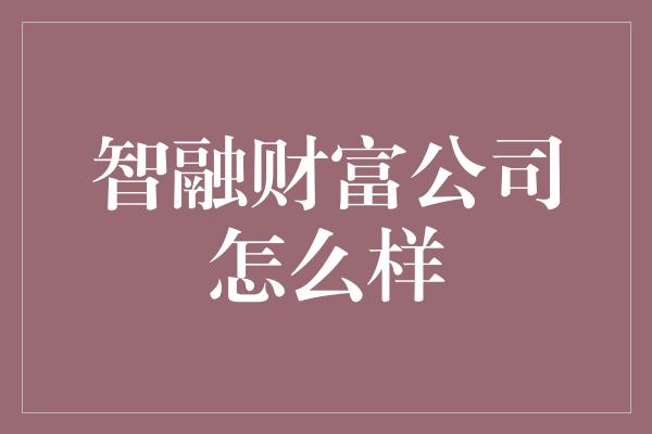 智融财富公司怎么样